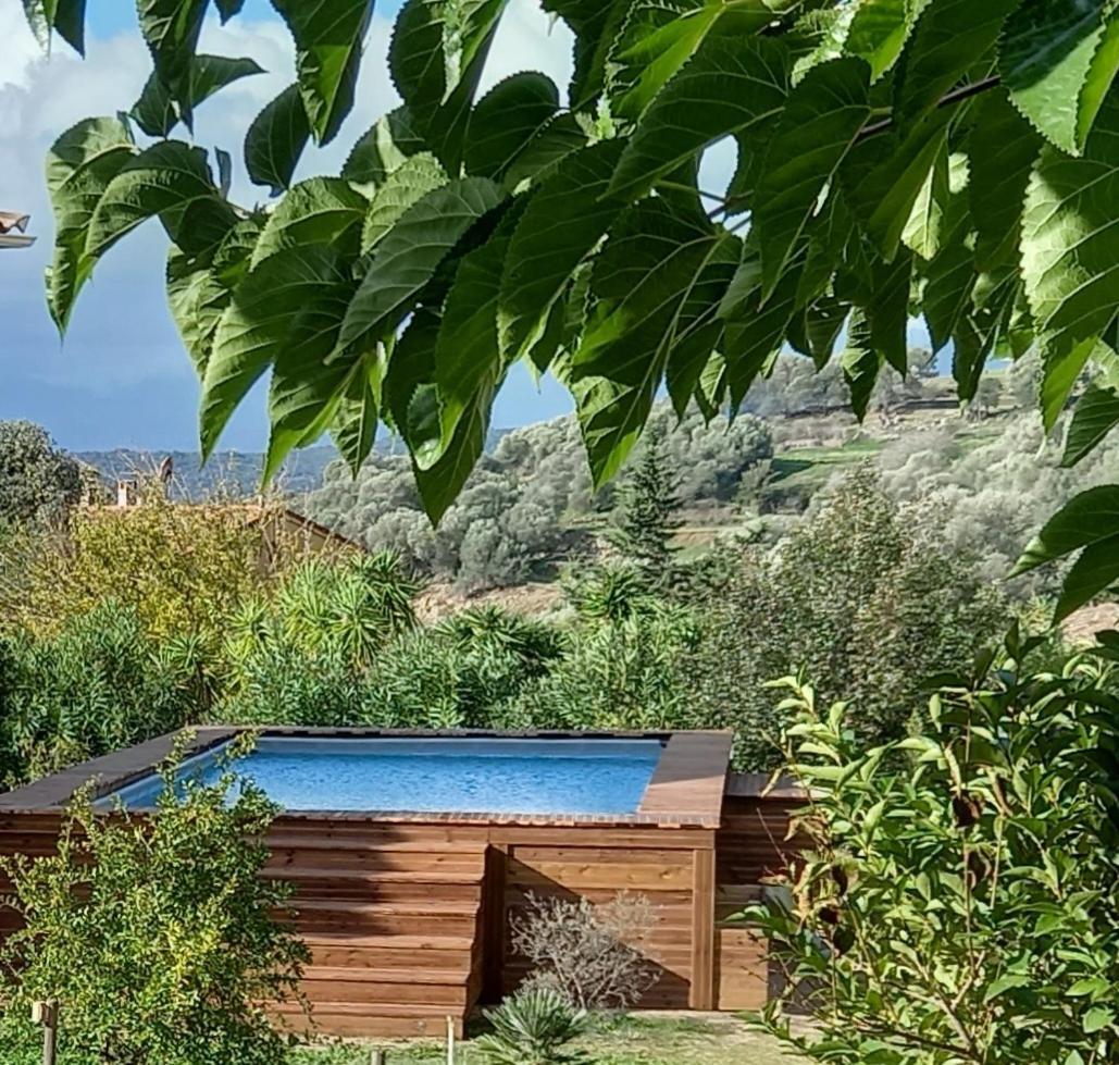 L'Alivu Villa Ajaccio  Ngoại thất bức ảnh